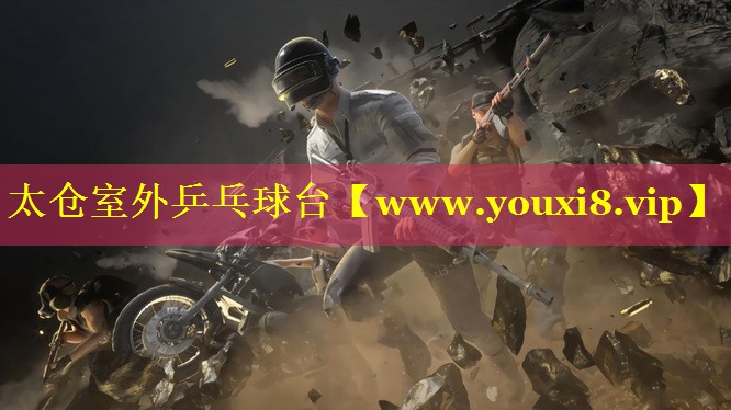太仓室外乒乓球台