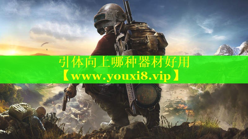 引体向上哪种器材好用